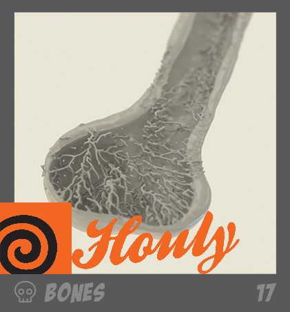 HOULY 2020 Day 17 – Bones